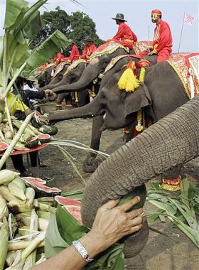 Тайланд Фото. Фото Тайланда. Фото альбомы Тайланда. Денек слона в Таиланде | Фото Таиланда