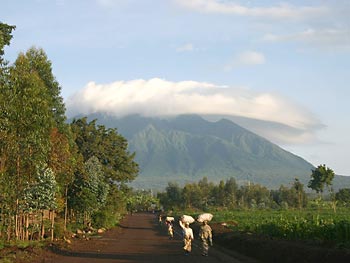 Руанда Фото. Фото Руанды. Фото альбомы Руанды. Государственный парк Вулканов | Фото Руанды