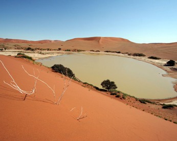 Намибия Фото. Фото Намибии. Фото альбомы Намибии. Пустыня Намиб | Фото Намибии